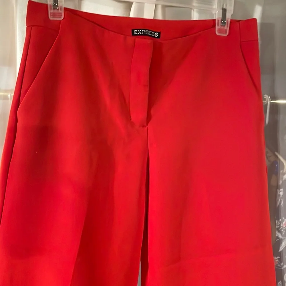 Express Cropped Wide Leg Palazzo Pants